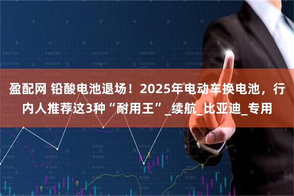 盈配网 铅酸电池退场!2025年电动车换电池,行内人推荐这3种“耐用王”_续航_比亚迪_专用