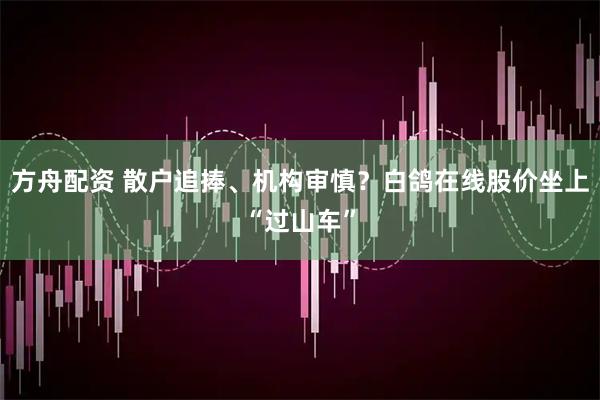 方舟配资 散户追捧、机构审慎？白鸽在线股价坐上“过山车”